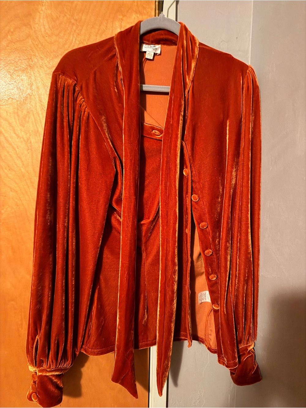Unique Vintage Burnt Orange Velvet Button-Down Blouse